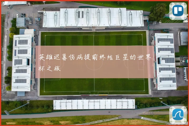 英雄迟暮伤病提前终结巨星的世界杯之旅