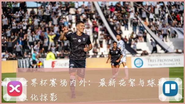 世界杯赛场内外：最新花絮与球迷文化掠影