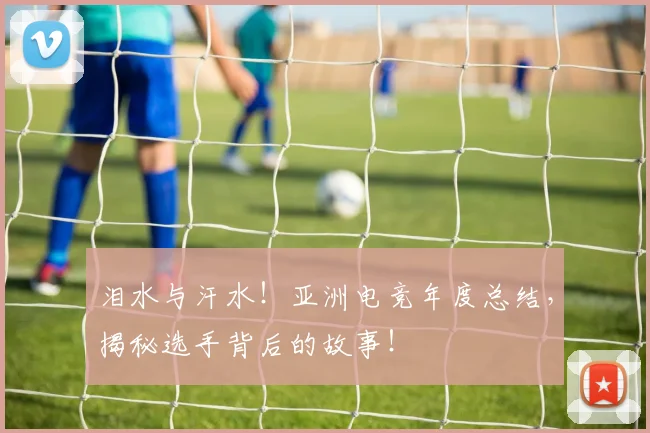 泪水与汗水！亚洲电竞年度总结，揭秘选手背后的故事！