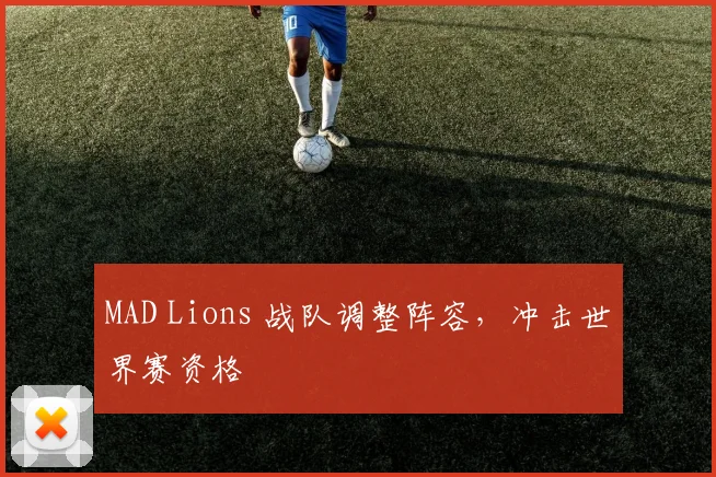 MAD Lions 战队调整阵容，冲击世界赛资格